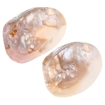 13-15 cm Prírodné Sladkovodné Perly Shell Hliva perleť Námorných Domova Pláži Blister Shell pre KUTILOV, Šperky, Takže Remeslá